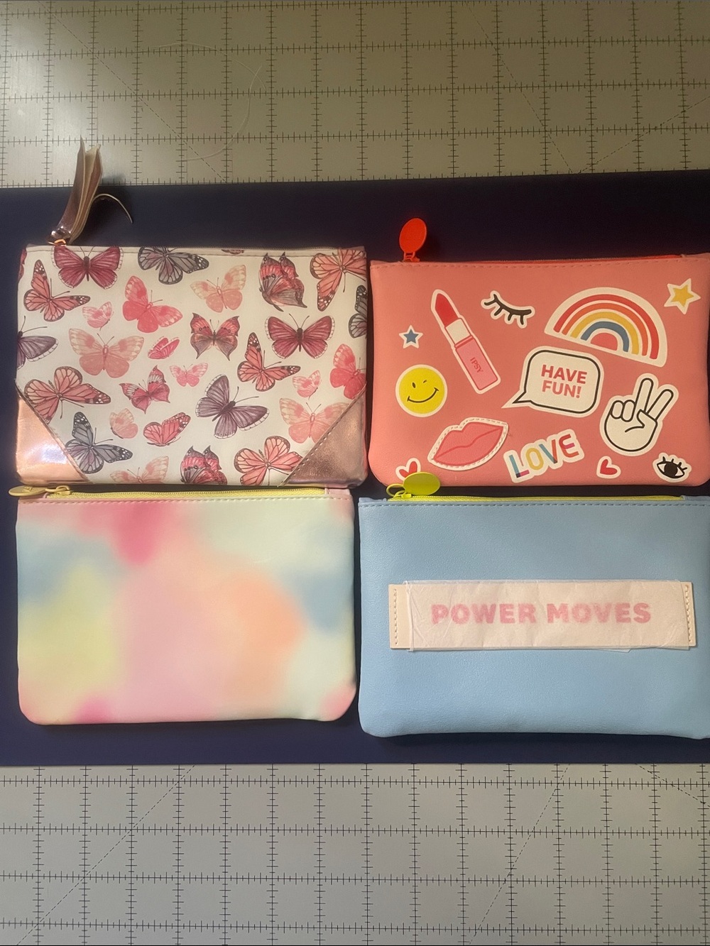 Cosmetic Pouch Set - Ipsy